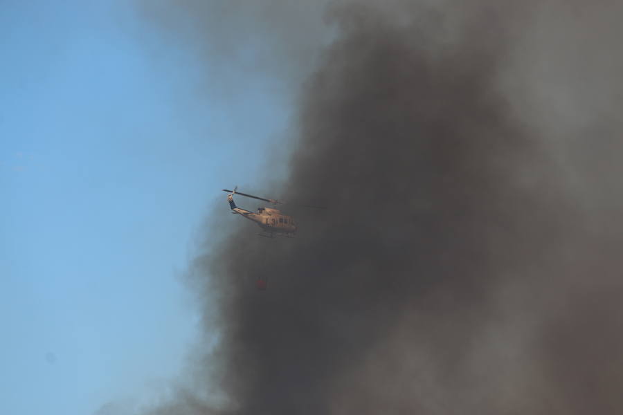 El fuego se ha originado minutos antes de las 16:21 horas en la calle de Valdeperal que conecta el Real Aéreo Club con la carretera del matadero en el polígono industrial de Trobajo del Camino, concretamente en la parte trasera de la vacía factoría de Everest, que se ha visto seriamente amenazada por las llamas