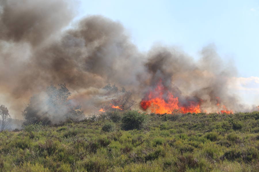 El fuego se ha originado minutos antes de las 16:21 horas en la calle de Valdeperal que conecta el Real Aéreo Club con la carretera del matadero en el polígono industrial de Trobajo del Camino, concretamente en la parte trasera de la vacía factoría de Everest, que se ha visto seriamente amenazada por las llamas