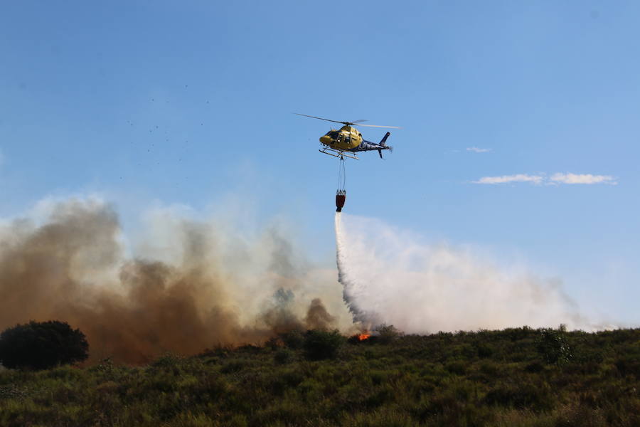 El fuego se ha originado minutos antes de las 16:21 horas en la calle de Valdeperal que conecta el Real Aéreo Club con la carretera del matadero en el polígono industrial de Trobajo del Camino, concretamente en la parte trasera de la vacía factoría de Everest, que se ha visto seriamente amenazada por las llamas