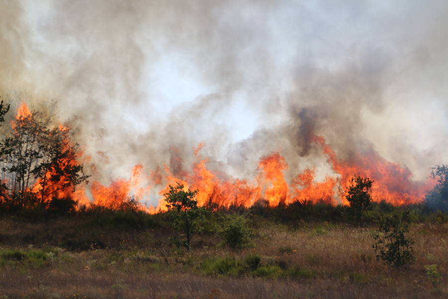 Oteruelo también se ha visto en vuelto en llamas. El incendio que se originó en la tarde de este jueves en el polígono industrial de Trobajo del Camino y en cuya extinción trabajan numerosos medios aéreos y terrestres, ha alcanzado la pedanía de la capital leonesa y se ha aproximado peligrosamente a las viviendas