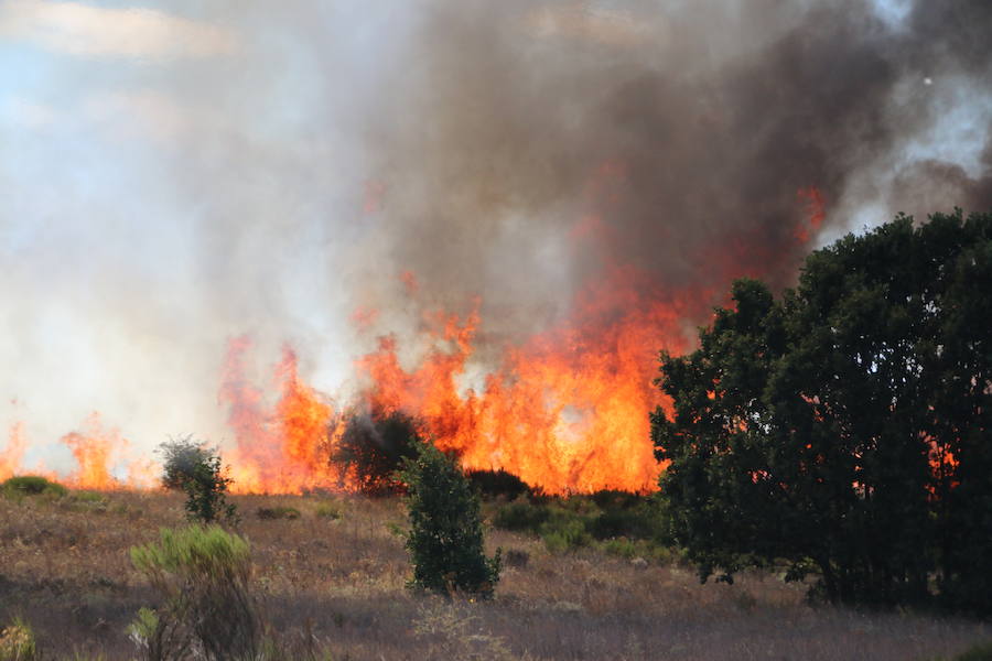 Oteruelo también se ha visto en vuelto en llamas. El incendio que se originó en la tarde de este jueves en el polígono industrial de Trobajo del Camino y en cuya extinción trabajan numerosos medios aéreos y terrestres, ha alcanzado la pedanía de la capital leonesa y se ha aproximado peligrosamente a las viviendas