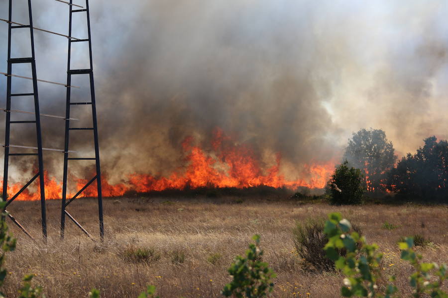 Oteruelo también se ha visto en vuelto en llamas. El incendio que se originó en la tarde de este jueves en el polígono industrial de Trobajo del Camino y en cuya extinción trabajan numerosos medios aéreos y terrestres, ha alcanzado la pedanía de la capital leonesa y se ha aproximado peligrosamente a las viviendas