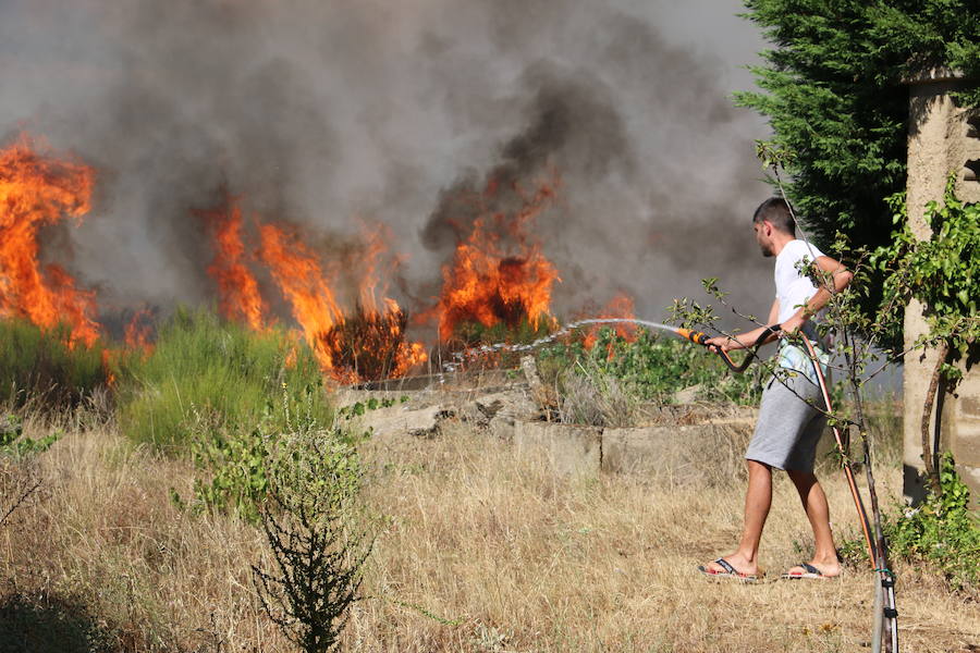 Oteruelo también se ha visto en vuelto en llamas. El incendio que se originó en la tarde de este jueves en el polígono industrial de Trobajo del Camino y en cuya extinción trabajan numerosos medios aéreos y terrestres, ha alcanzado la pedanía de la capital leonesa y se ha aproximado peligrosamente a las viviendas