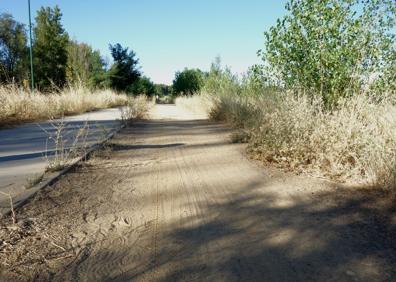 Imagen secundaria 1 - Imagen del estado de los carril-bici y sendas.