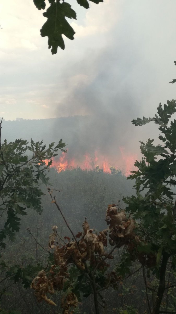 Imágenes de los incendios de Valduvieco y Ponferrada