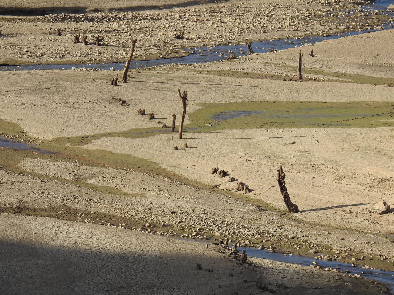 La sequía convierte en un desierto los pantanos y deja al campo leonés «al borde de la ruina»