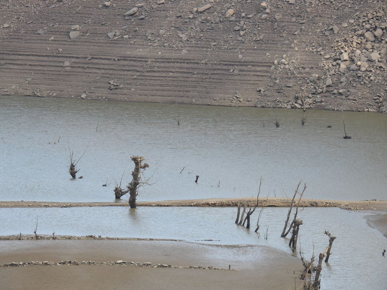 La sequía convierte en un desierto los pantanos y deja al campo leonés «al borde de la ruina»