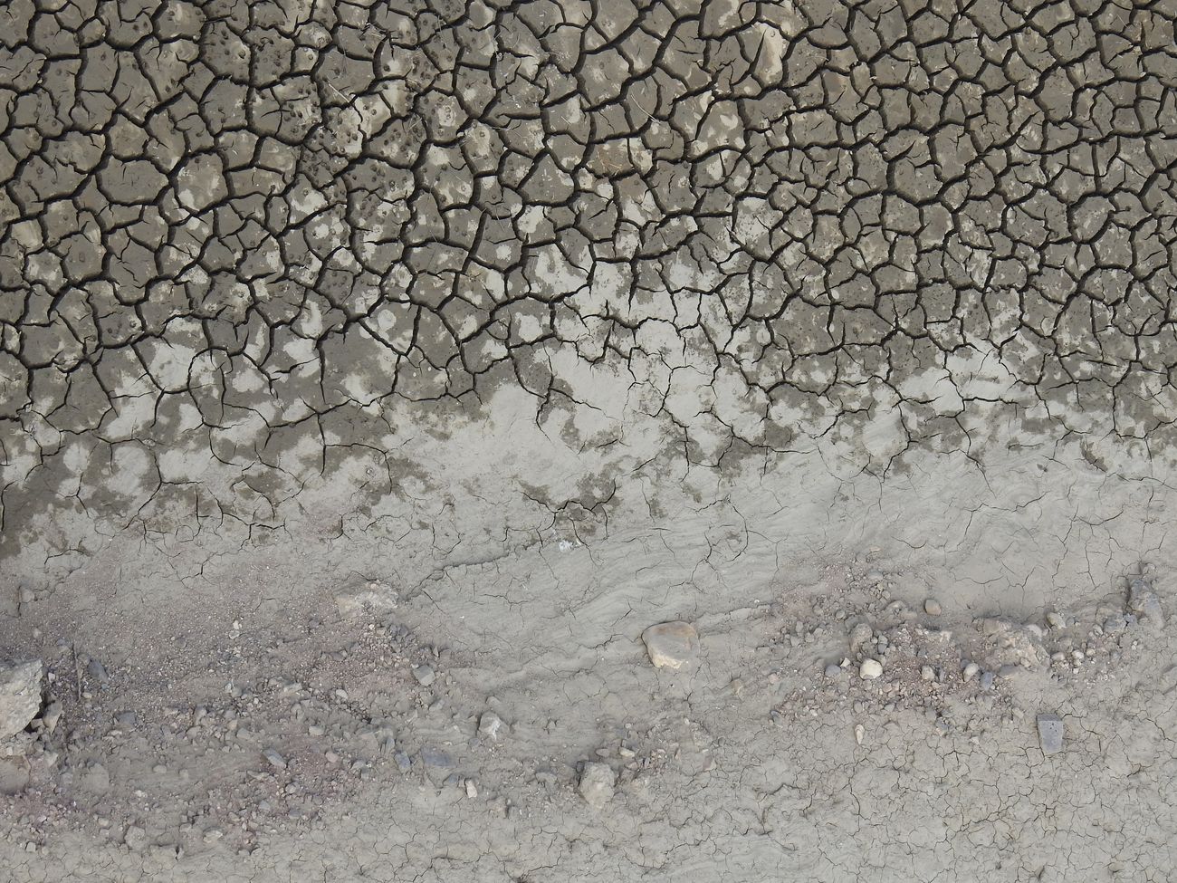 La sequía convierte en un desierto los pantanos y deja al campo leonés «al borde de la ruina»