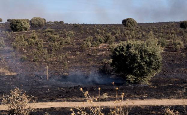 Incendio en la zona de los Montalvos, a las afueras de Salamanca