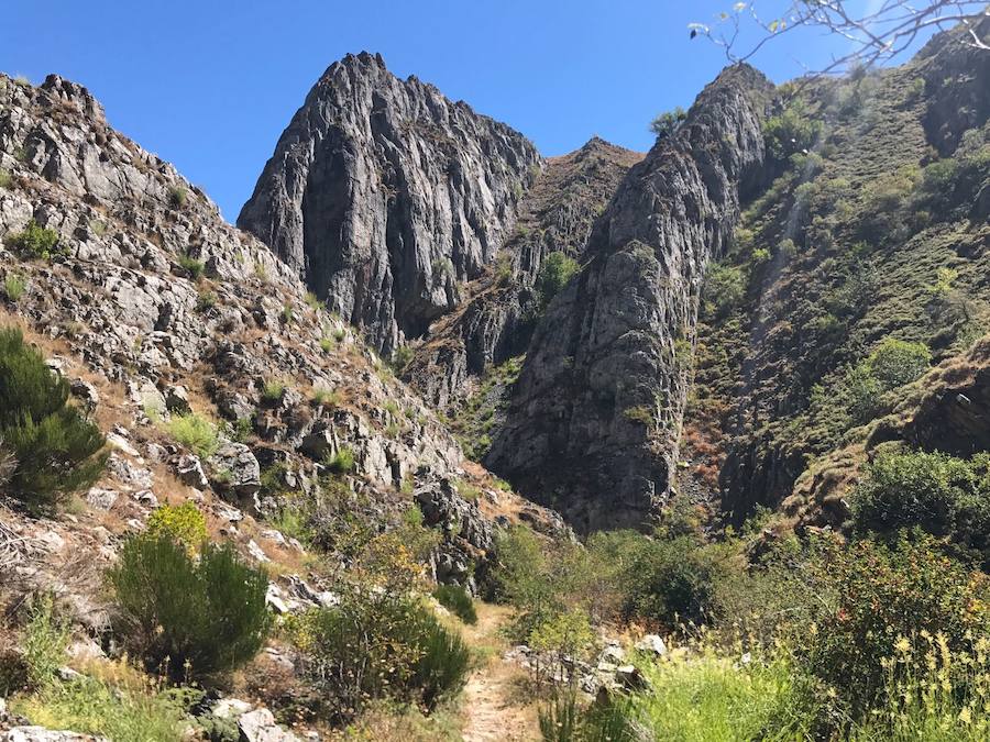 Carrera en el Alto Bernesga