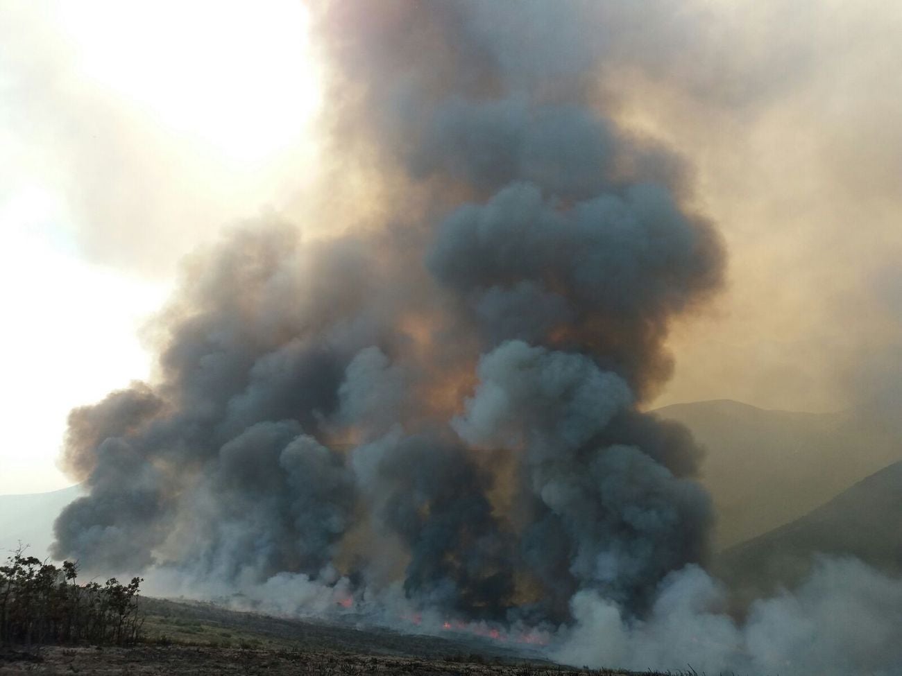 El fuego afecta principalmente a una zona de matorral, pero es una zona escarpada y de acceso complicado que dificulta las labores de extinción | El fuego, de carácter intencionado y que se localizó en Losadilla, localidad perteneciente a Encinedo, está fuera de control