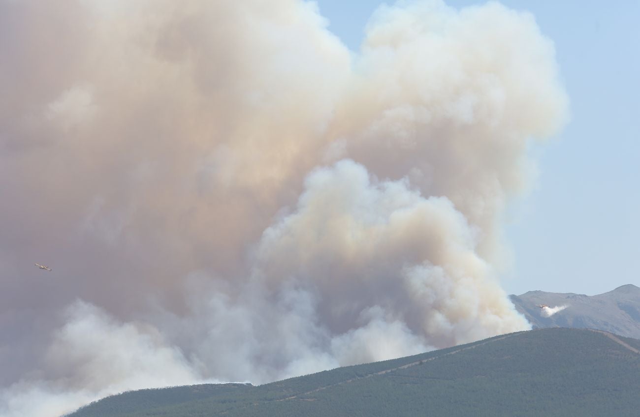 El fuego afecta principalmente a una zona de matorral, pero es una zona escarpada y de acceso complicado que dificulta las labores de extinción | El fuego, de carácter intencionado y que se localizó en Losadilla, localidad perteneciente a Encinedo, está fuera de control