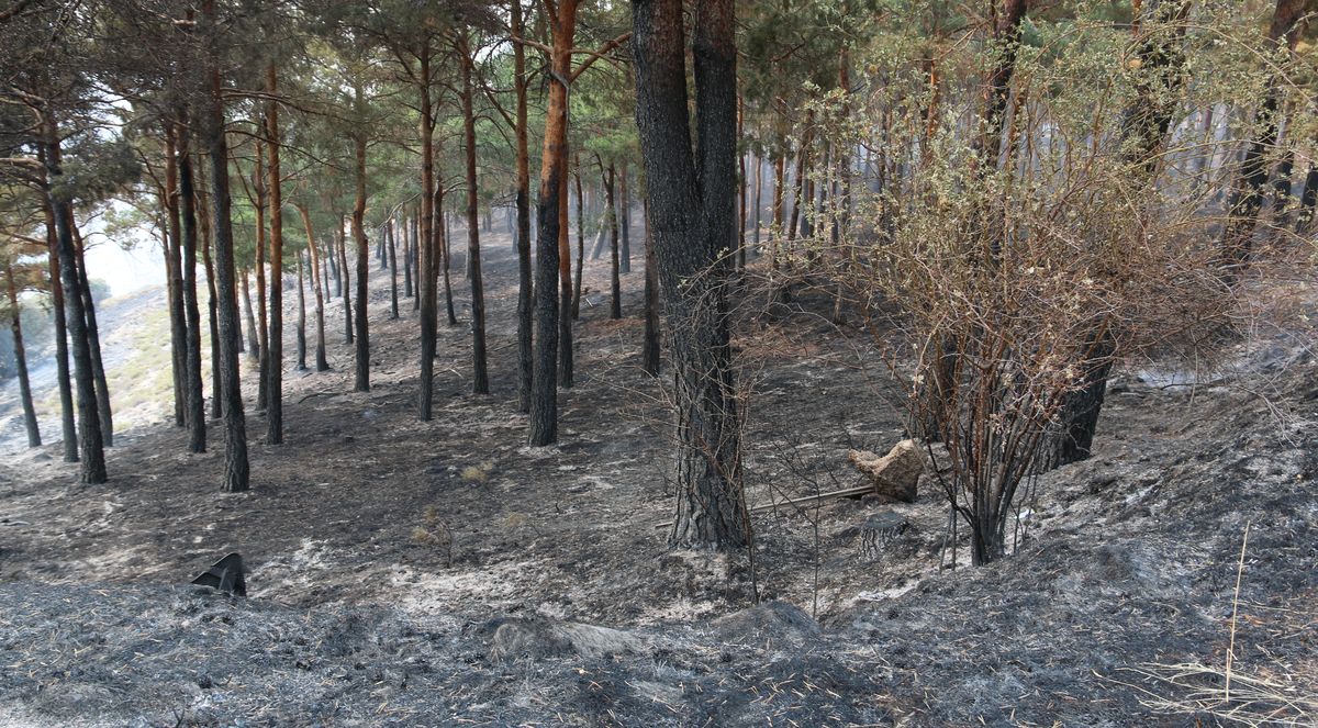 Humo, fuego y cenizas en La Cabrera