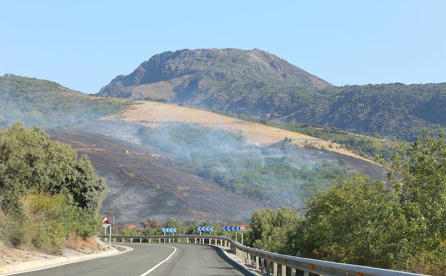 Borrenes, en alerta