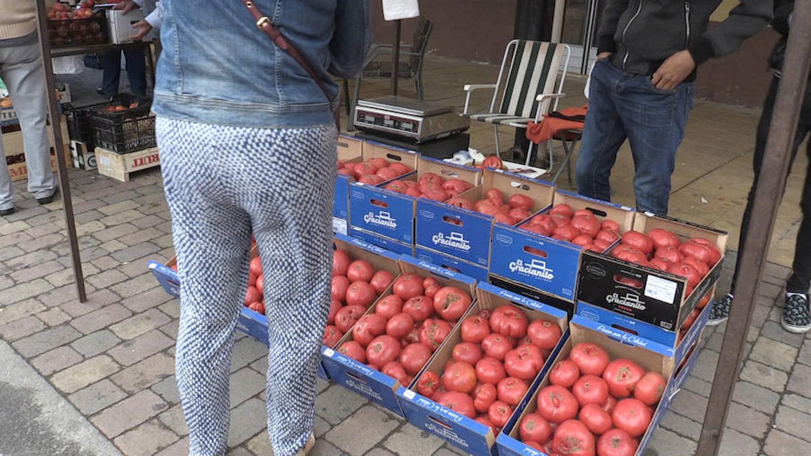 El tomate, rey en Mansilla