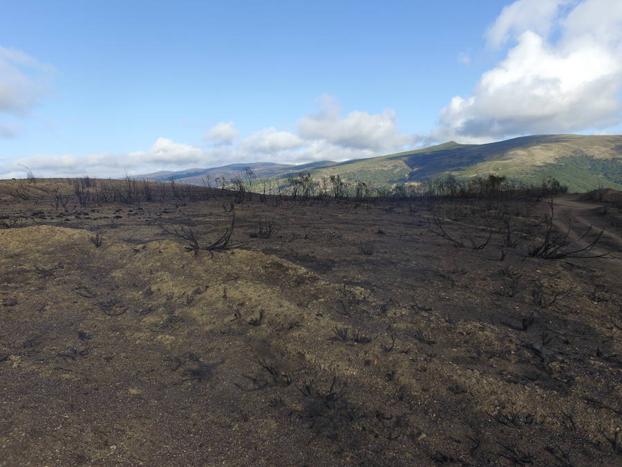 La Cabrera, la desolación tras el fuego