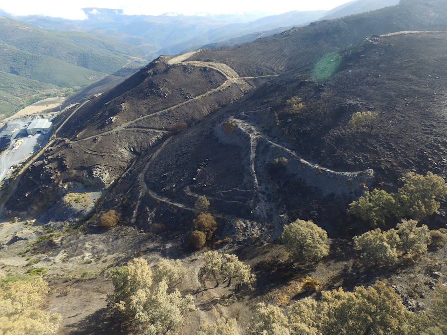 La Cabrera, la desolación tras el fuego