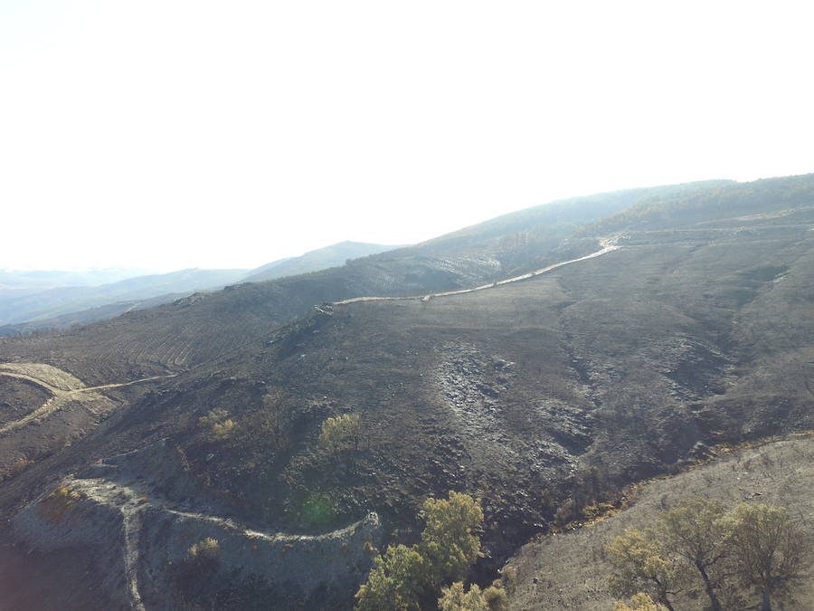 La Cabrera, la desolación tras el fuego