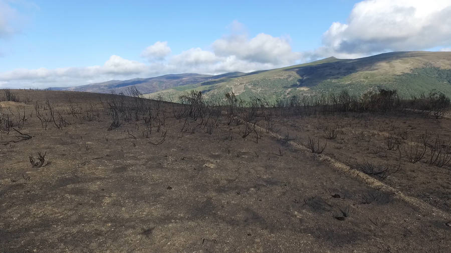 La Cabrera, la desolación tras el fuego