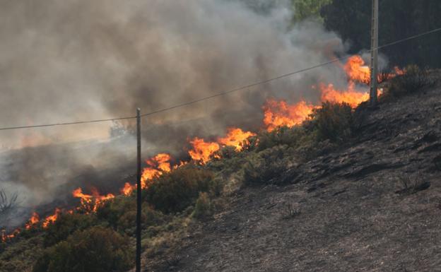 Fuego de Encinedo. 