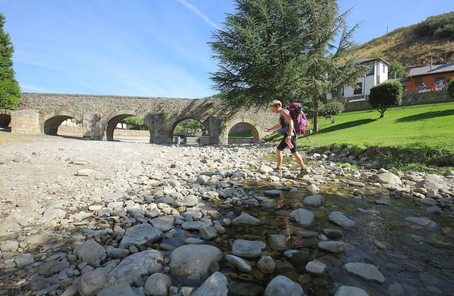 La sequía ahoga al Bierzo