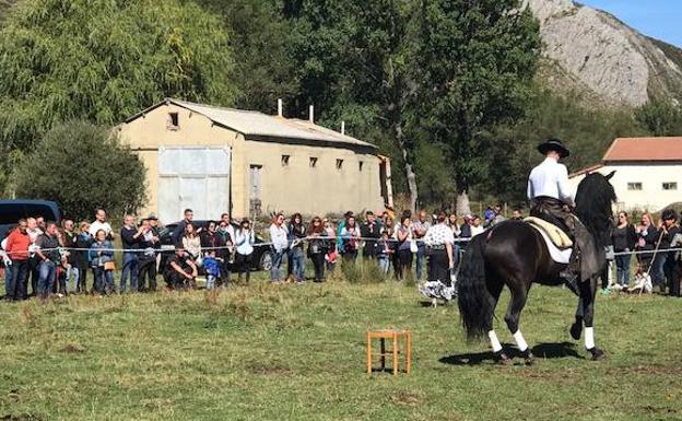 Una demostración ecuestre durante la Feria. 