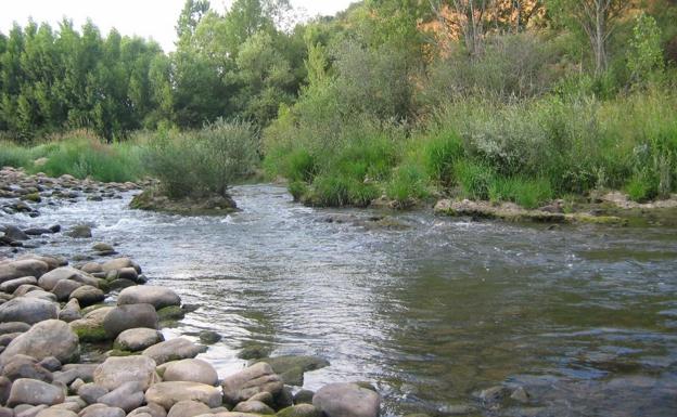 El río Bernesga, a su paso por Cuadros.