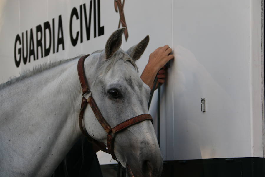 El caballo, mejor amigo de la Guardia Civil