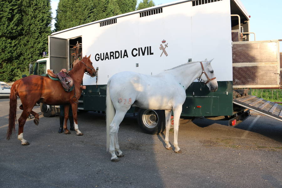 El caballo, mejor amigo de la Guardia Civil