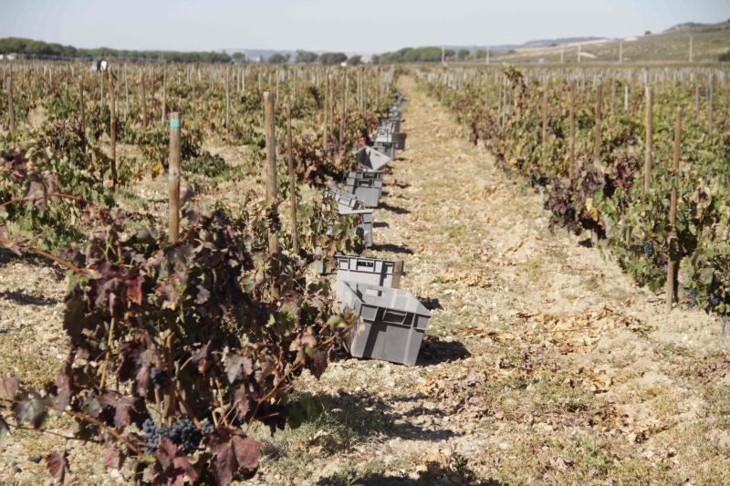 Fotos: El general Manuel Gorjón, embajador de los vinos de Dehesa de los Canónigos