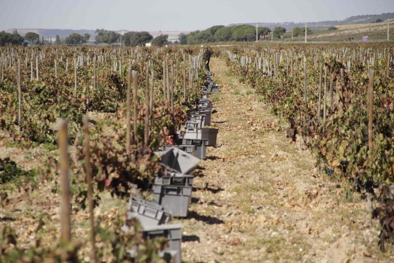 Fotos: El general Manuel Gorjón, embajador de los vinos de Dehesa de los Canónigos