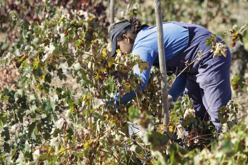 Fotos: El general Manuel Gorjón, embajador de los vinos de Dehesa de los Canónigos