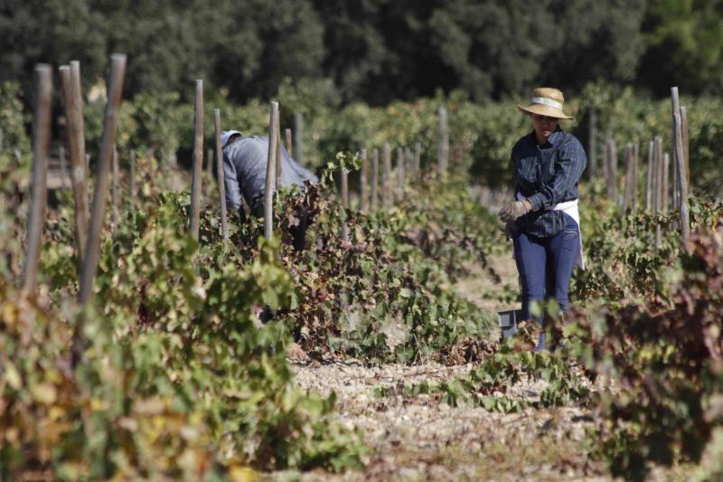 Fotos: El general Manuel Gorjón, embajador de los vinos de Dehesa de los Canónigos