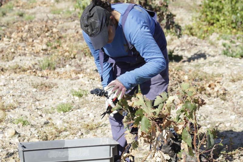 Fotos: El general Manuel Gorjón, embajador de los vinos de Dehesa de los Canónigos