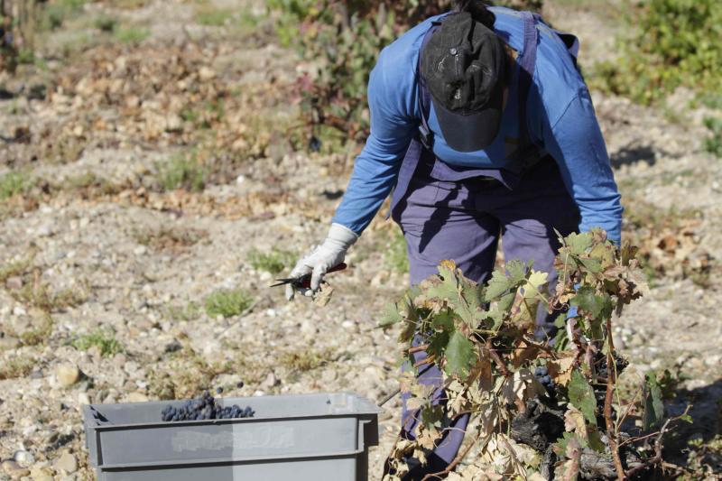 Fotos: El general Manuel Gorjón, embajador de los vinos de Dehesa de los Canónigos