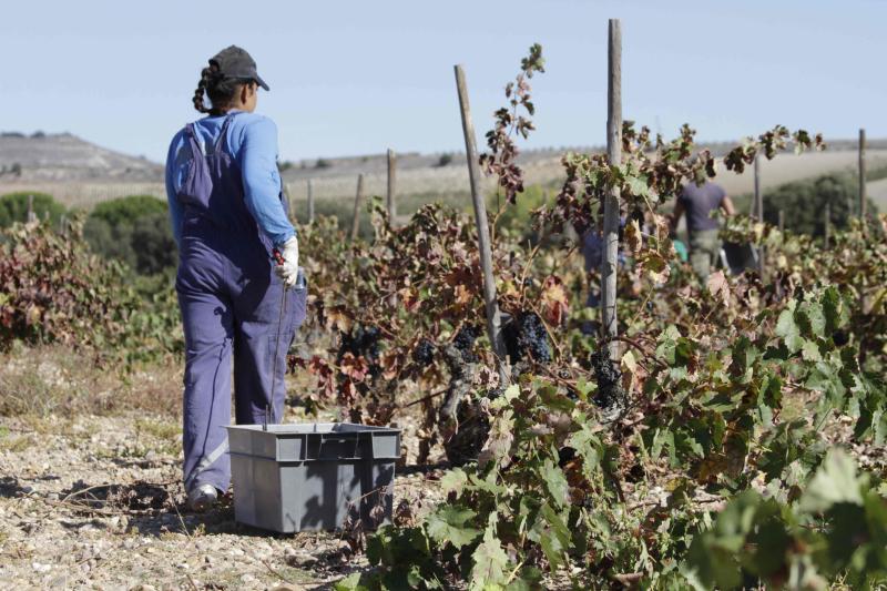 Fotos: El general Manuel Gorjón, embajador de los vinos de Dehesa de los Canónigos