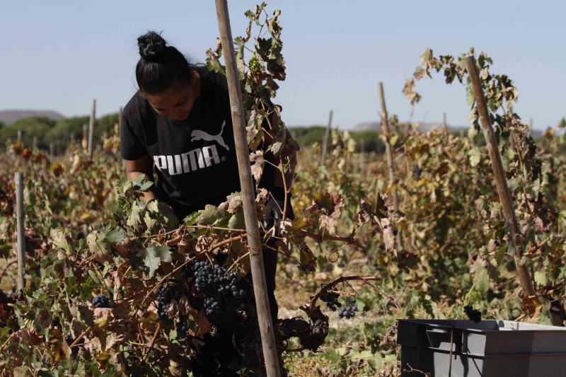 Fotos: El general Manuel Gorjón, embajador de los vinos de Dehesa de los Canónigos