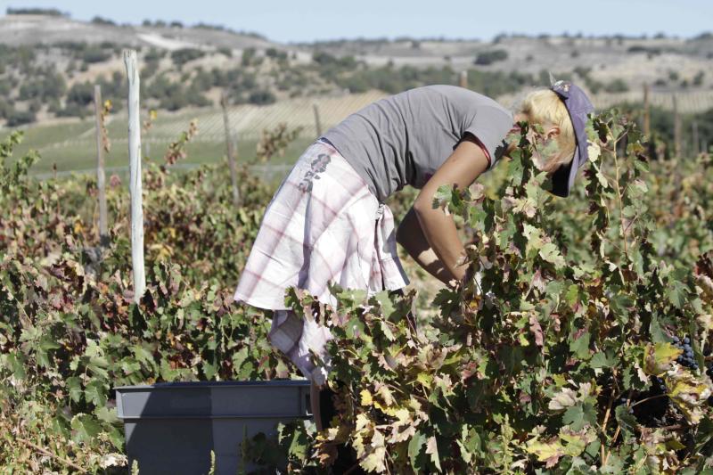 Fotos: El general Manuel Gorjón, embajador de los vinos de Dehesa de los Canónigos