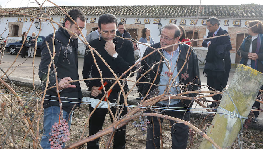 El torero Enrique Ponce, padrino de la vendimia de la Bodega Dehesa de los Canónigos en 2012.