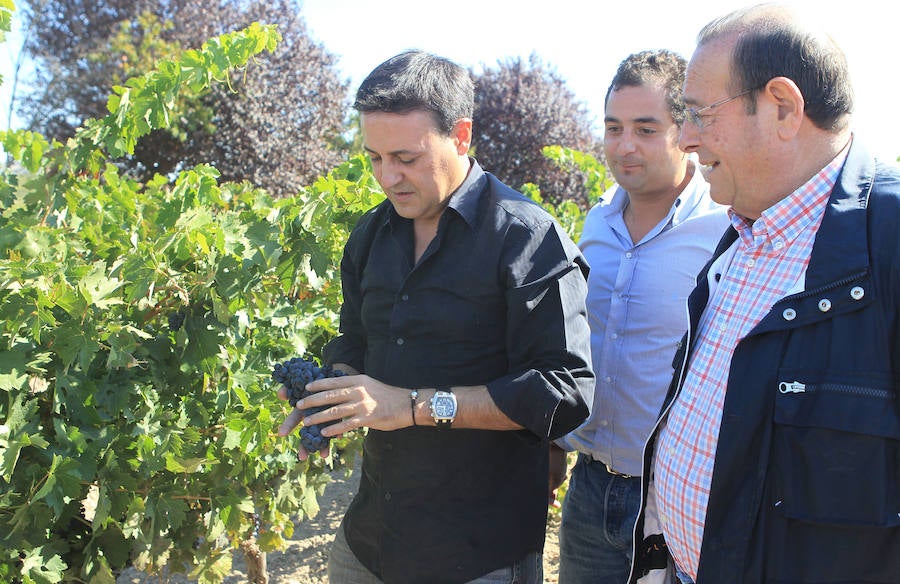 José Ribagorda, padrino de la vendimia 2011.