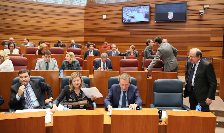 Pleno en las Cortes de Castilla y León