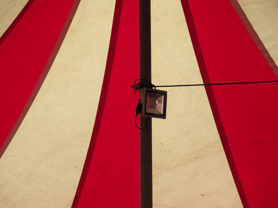 Pasen a ver el circo