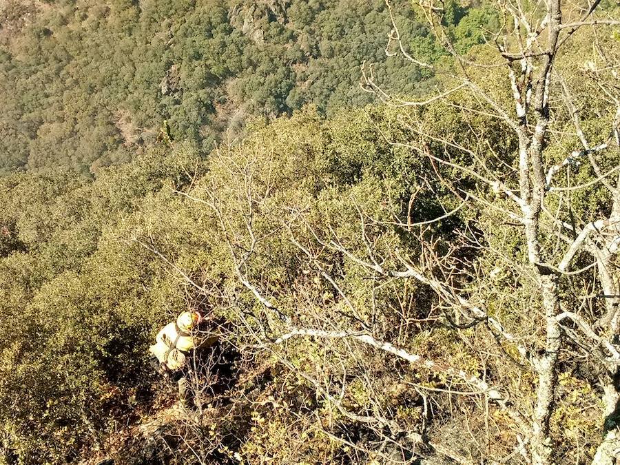 Incendio en el Bierzo