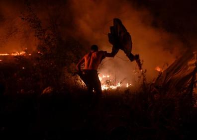 Imagen secundaria 1 - Mueren cuatro personas en Galicia, donde nueve incendios siguen amenazando viviendas