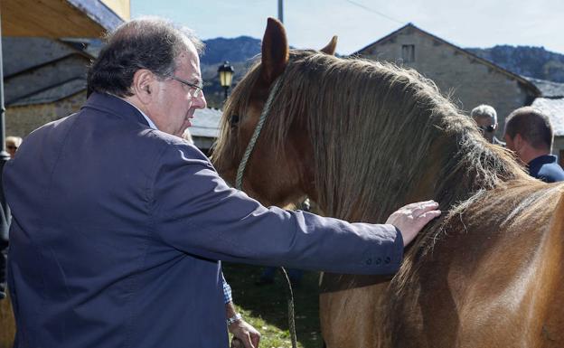 Galería. Herrera junto con un caballo hispano-bretón. 