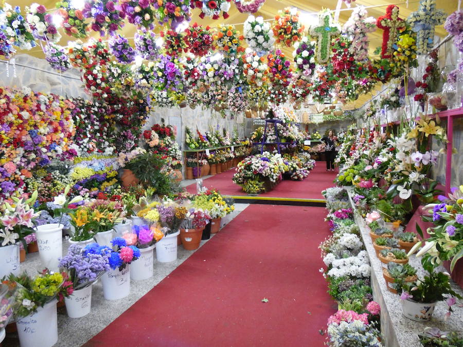 Esta floristería leonesa afronta una de las etapas con más actividad del año en su empresa y ofrecer a los leoneses el mejor asesoramiento y cercanía para poder recordar a sus seres queridos en el Día de Todos los Santos