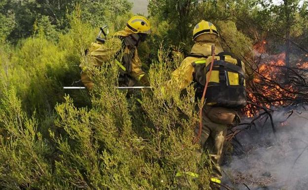 Brigadistas atacan un fuego. 