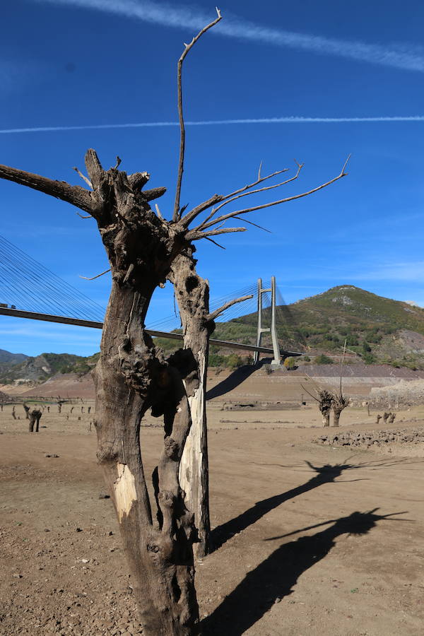 Barrios de Luna desaparece