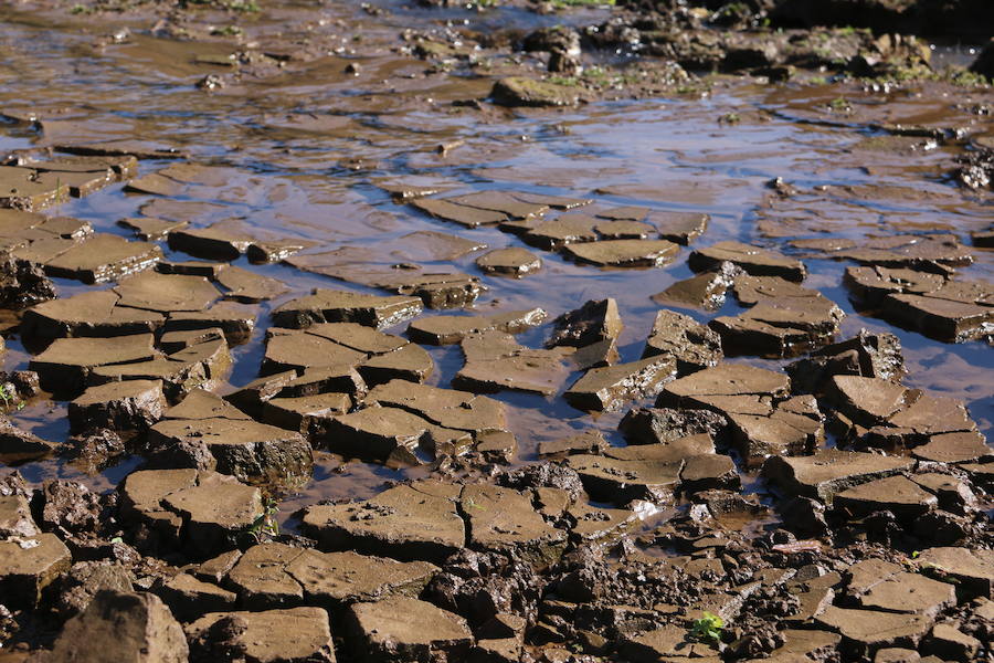 Barrios de Luna desaparece