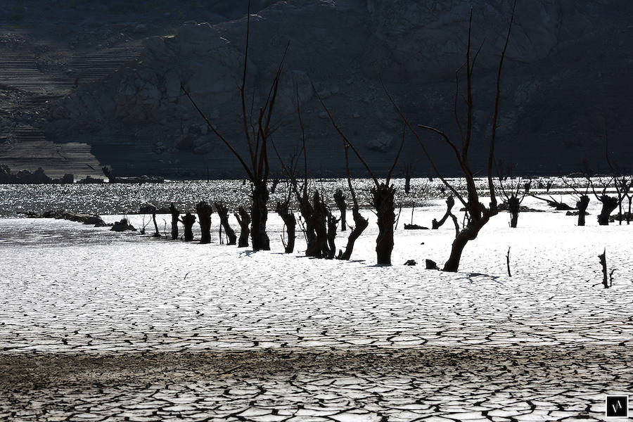 La desolación de Barrios de Luna